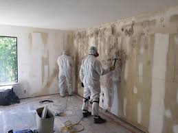 Professional Mold Removal Services in Marrero, LA